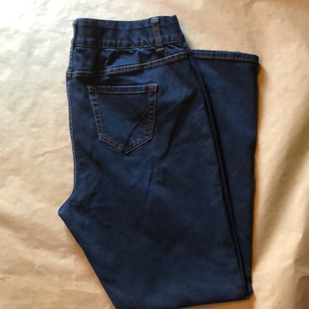 Lane Bryant Jeans